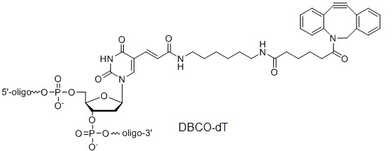 Bio-Synthesis Inc. Oligo Structure